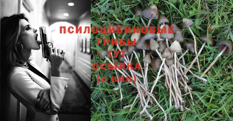 Галлюциногенные грибы MAGIC MUSHROOMS  где купить наркоту  Волчанск 